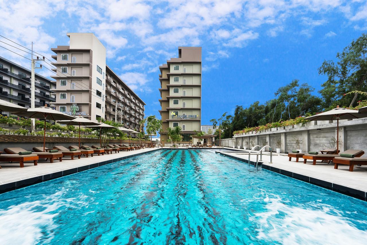 ที่พักพัทยาคืนละ 699 บาท!! : Olive Tree Hotel ห้องดี..มีสระว่ายน้ำ